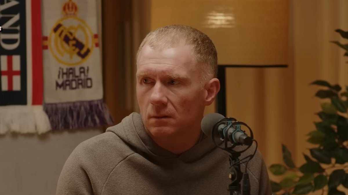 Paul Scholes is left baffled by two Man United summer transfers