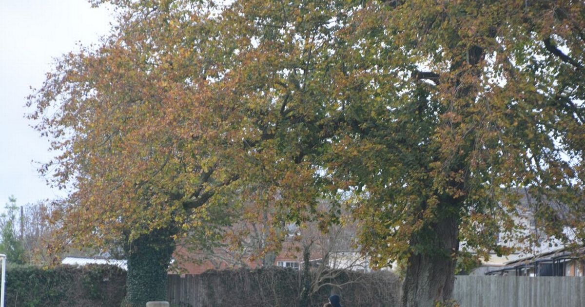 Devon village reeling over £3,200 criminal damage