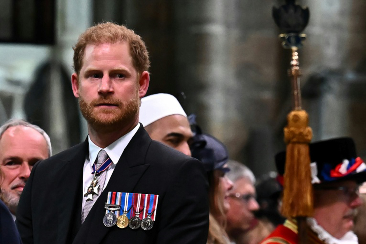 Harry Pleads For William's Support as He Seeks to Heal Rift With King Charles