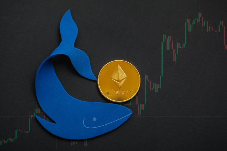 ETH and Solana whales rush to this Altcoin at $0.0125 with 100X potential!