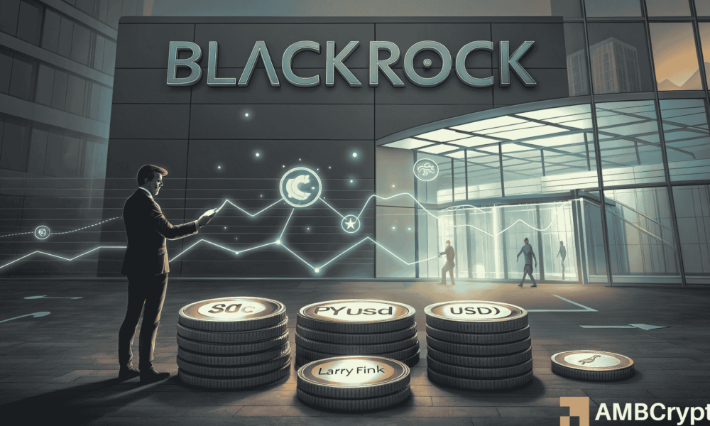BlackRock targets stablecoin boom with new fund