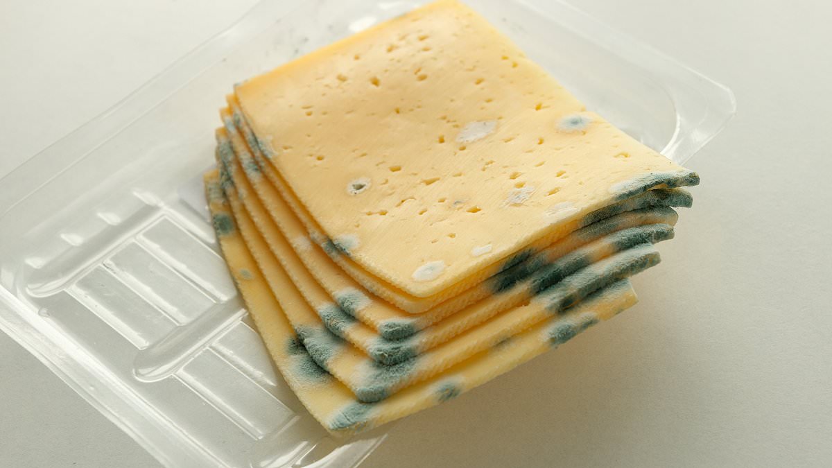 You're eating cheese all wrong! Expert reveals how to store dairy products properly - and why you should NEVER keep blues, cheddars, and bries together