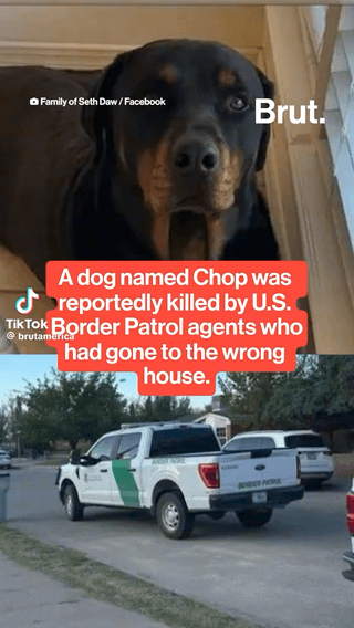 ICE enter wrong house and then shoot family dog