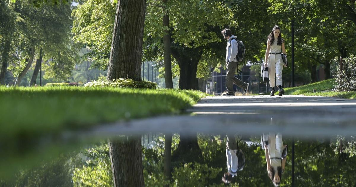 UM receives $1.2 million for youth mental health program