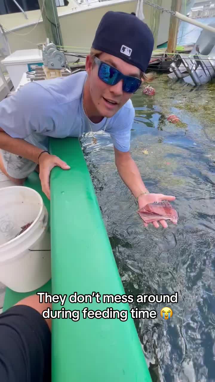Wait for it 😧@Barstool Outdoors (Via:Connor.eilers/ig)