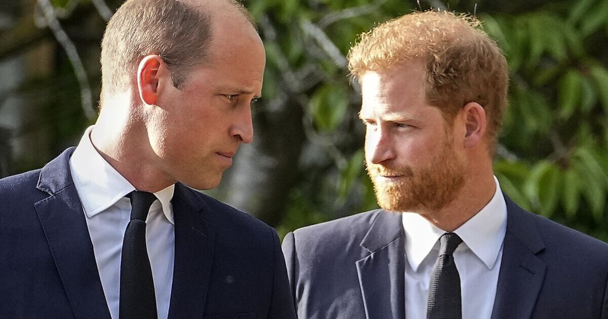 Prince William and Prince Harry's aunt 'seriously injured' after horse accident