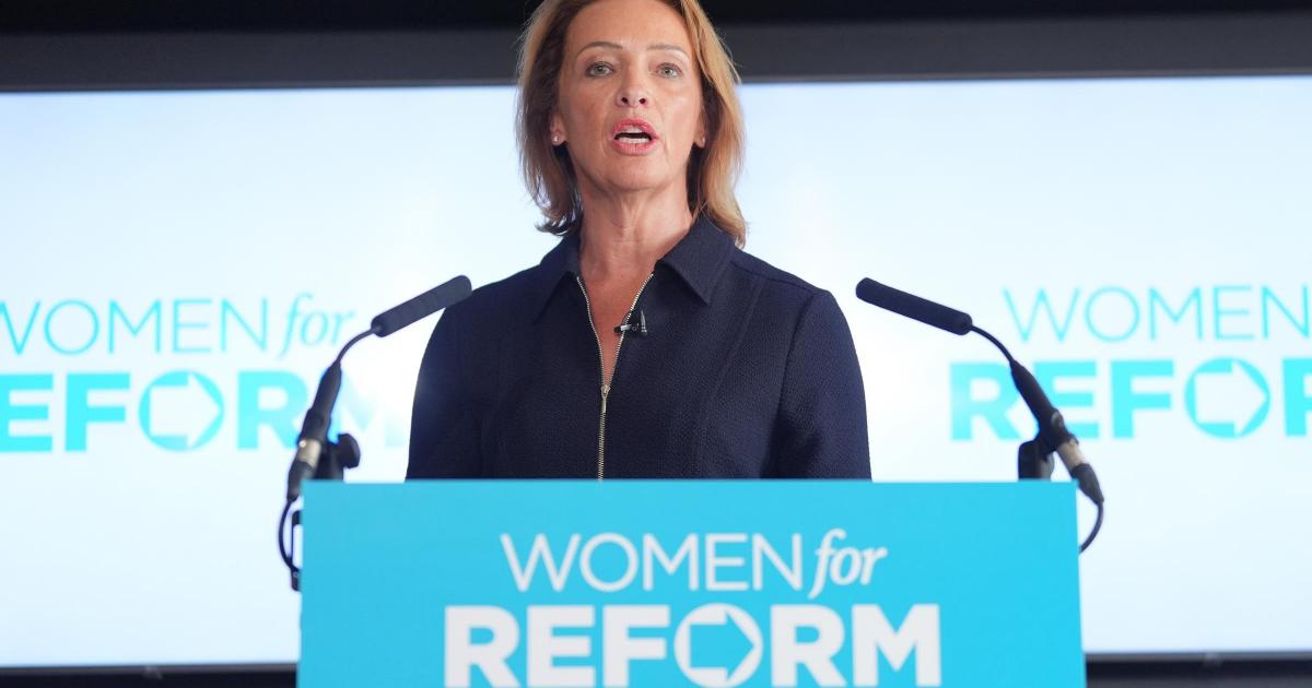 Was Reform's Sarah Pochin really guilty of making racist comments about TV adverts?