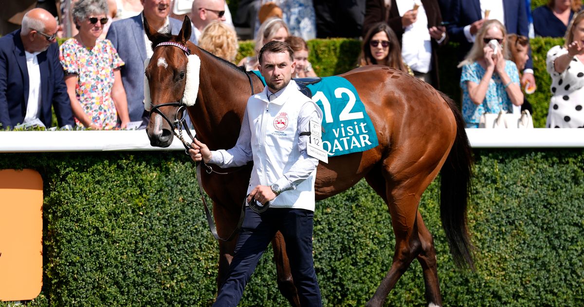 Irish trainer devastated after death of stable star following Breeders' Cup