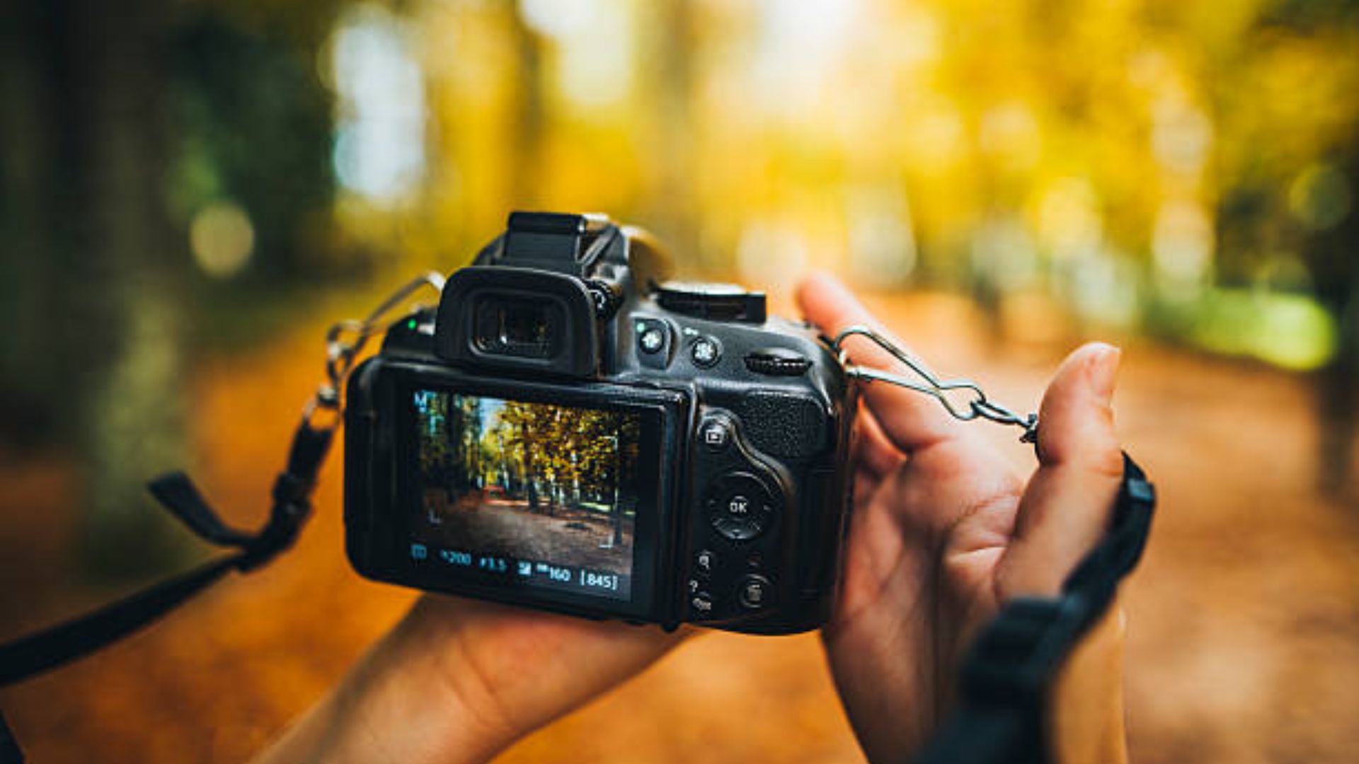 Why Go Back to DSLRs: The Practical Reasons Behind the Switch