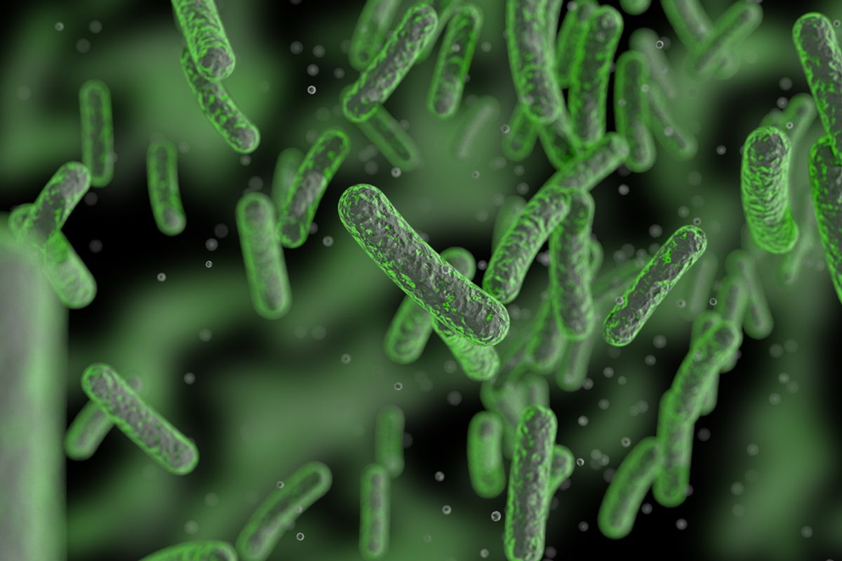 Not All Food-Borne Bacteria Are Bad, Some Can Benefit Your Health — Here’s What You Should Know