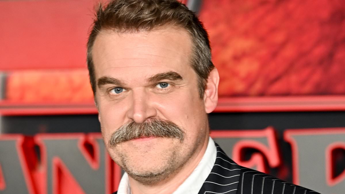 David Harbour lands huge movie role in true crime thriller with Courteney Cox directing after ex-wife Lily Allen's scathing album