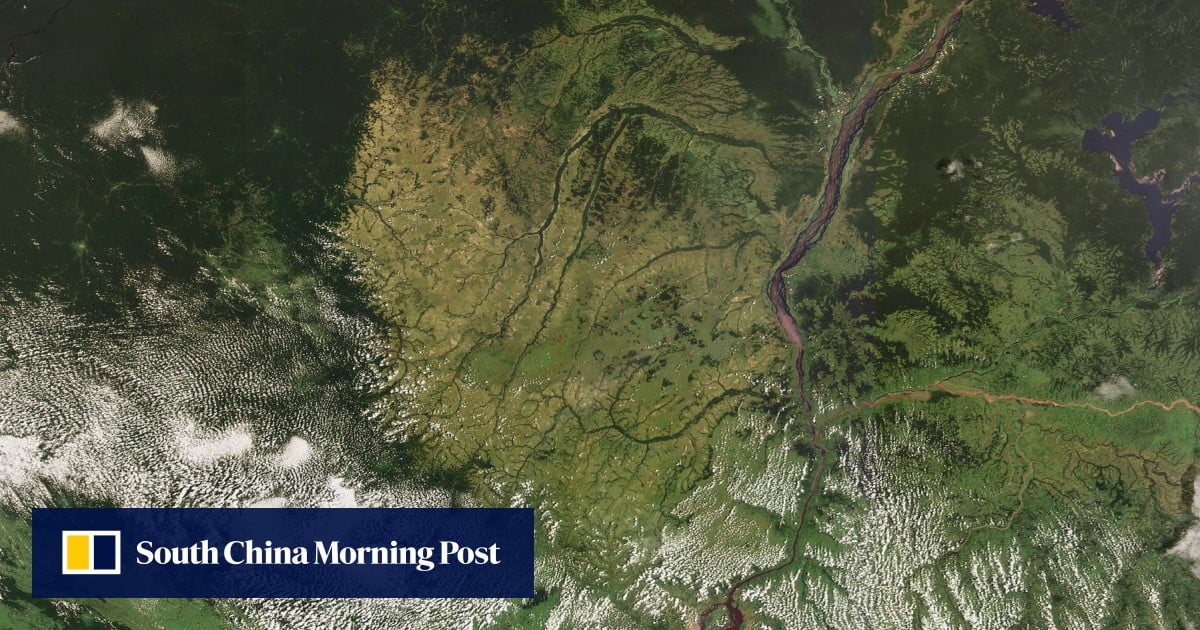 The world has a decade to save the biggest tropical carbon sink