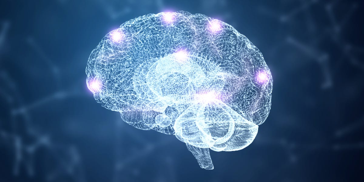 Scientists Built a Working Brain—And Now the ‘Possibilities Are Endless,’ a Scientist Says