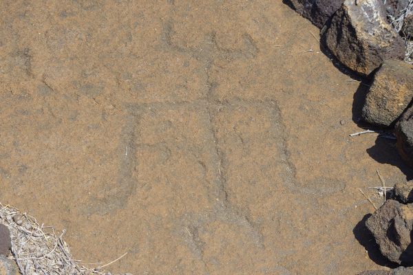 Puako Petroglyph Archaeological Preserve in Puako, Hawaii