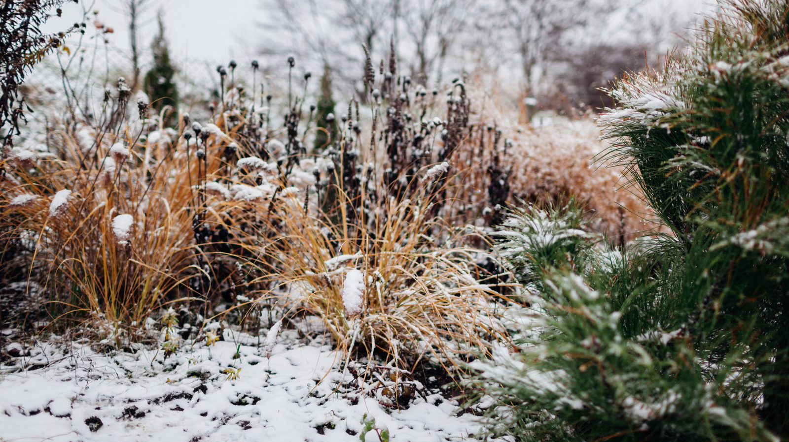 Gardening Never Has To End. Here Are Some Tasks For The Dead Of Winter
