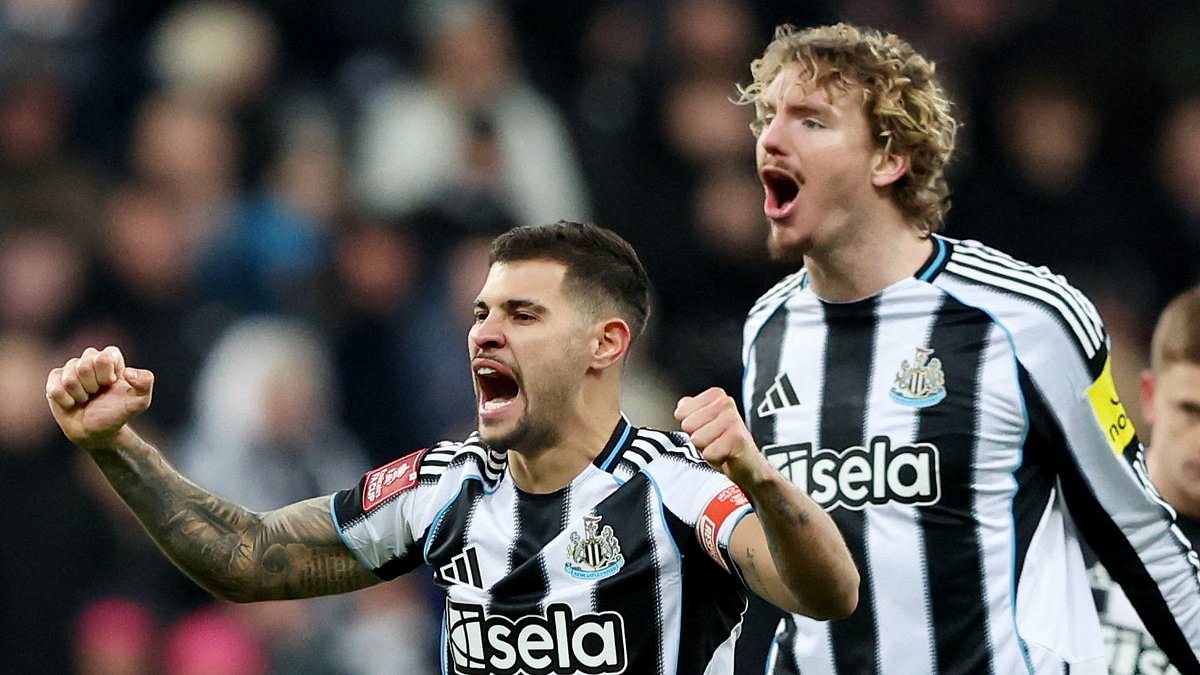 CRAIG HOPE: Newcastle MUST invest off the field to spark true progress