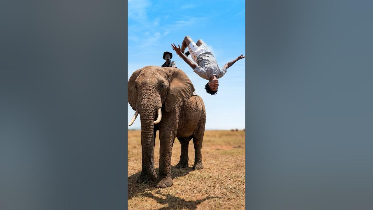 I Backflipped Off Of An ELEPHANT! 🐘🐘