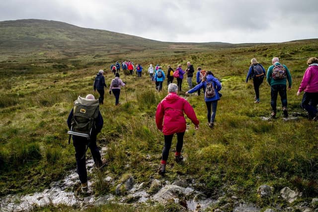 Huge potential for forest tourism in Derry & Strabane Council area raised as reps back scoping exercise call