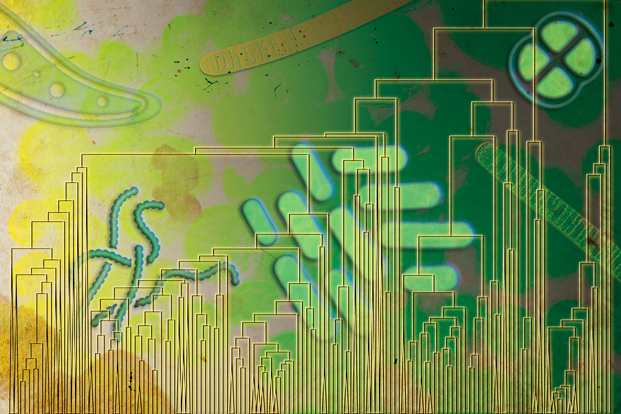 Some early life forms may have breathed oxygen well before it filled the atmosphere