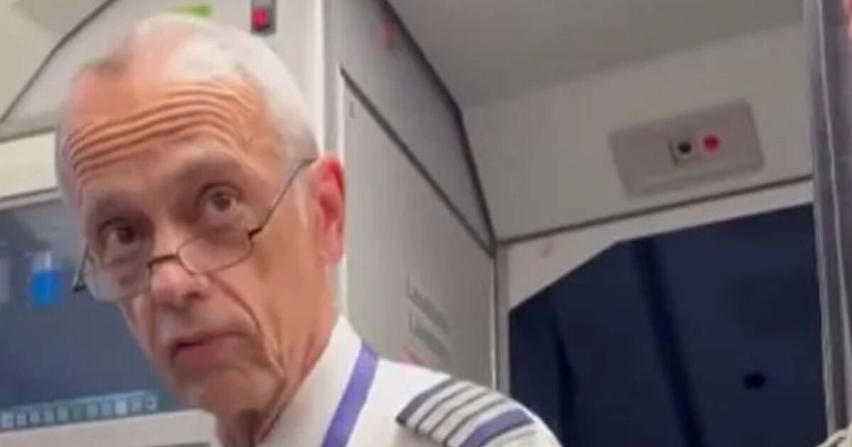 Moment pilot accused of being paedophile arrested in front of passengers before take-off
