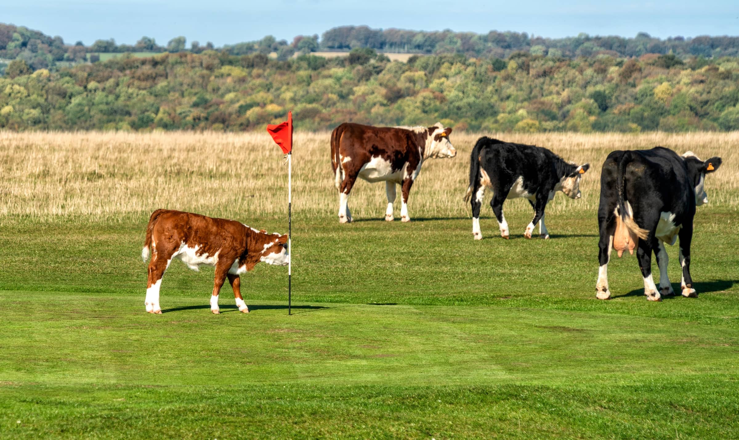 StayCotswold tees up the perfect Cotswolds golf staycation