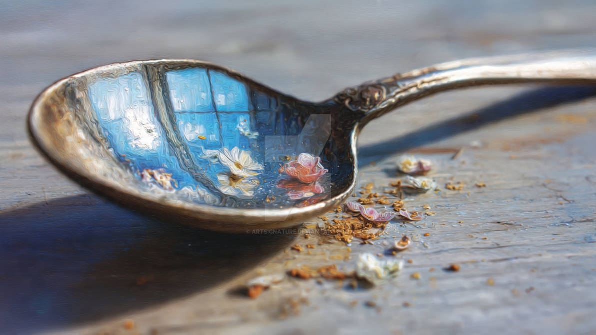 Silver Spoon and Reflected Flowers by ArtSignature on DeviantArt