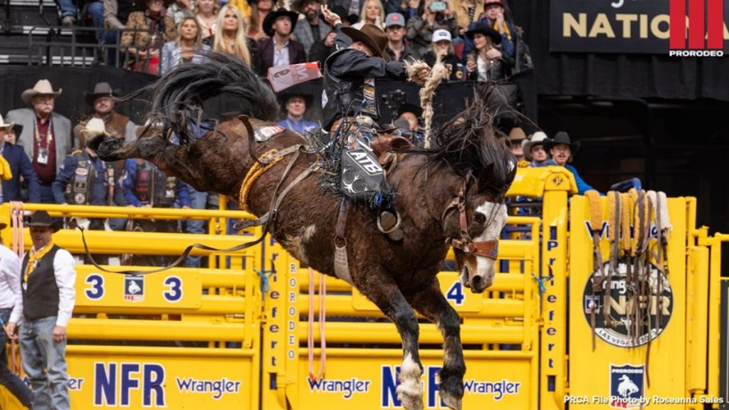 J Bar J’s star horse Straight Jacket passes away