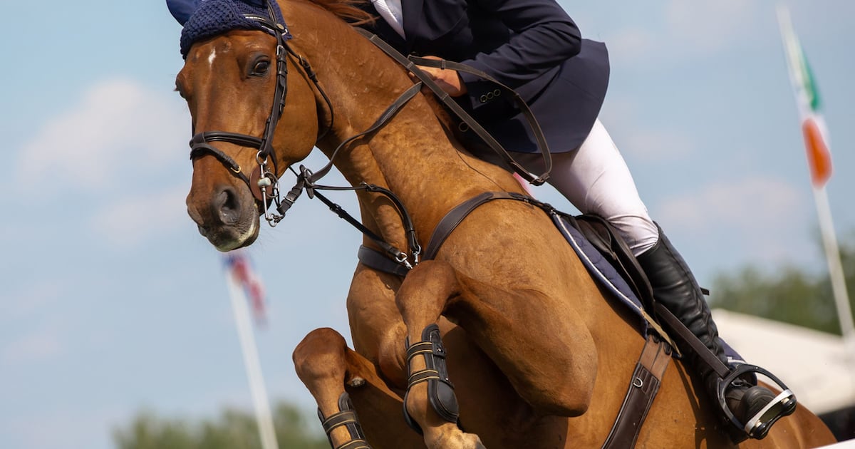 Showjumping Ireland chairman and directors to remain in position after dispute settled