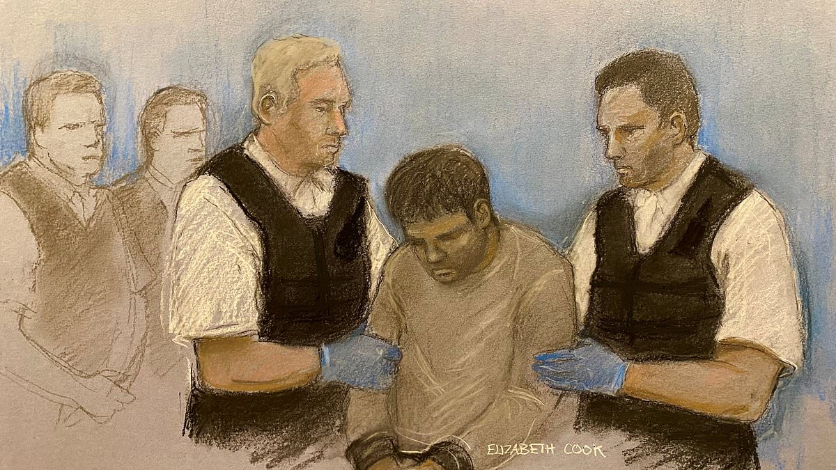 Afghan accused of fatal stabbing rampage after being told he would be evicted may never be fit enough to stand trial, court told