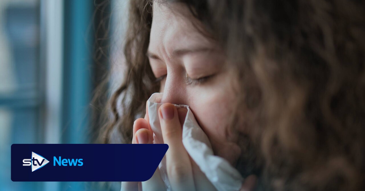 Single vaccine could protect against all colds, flus and allergies, scientists say