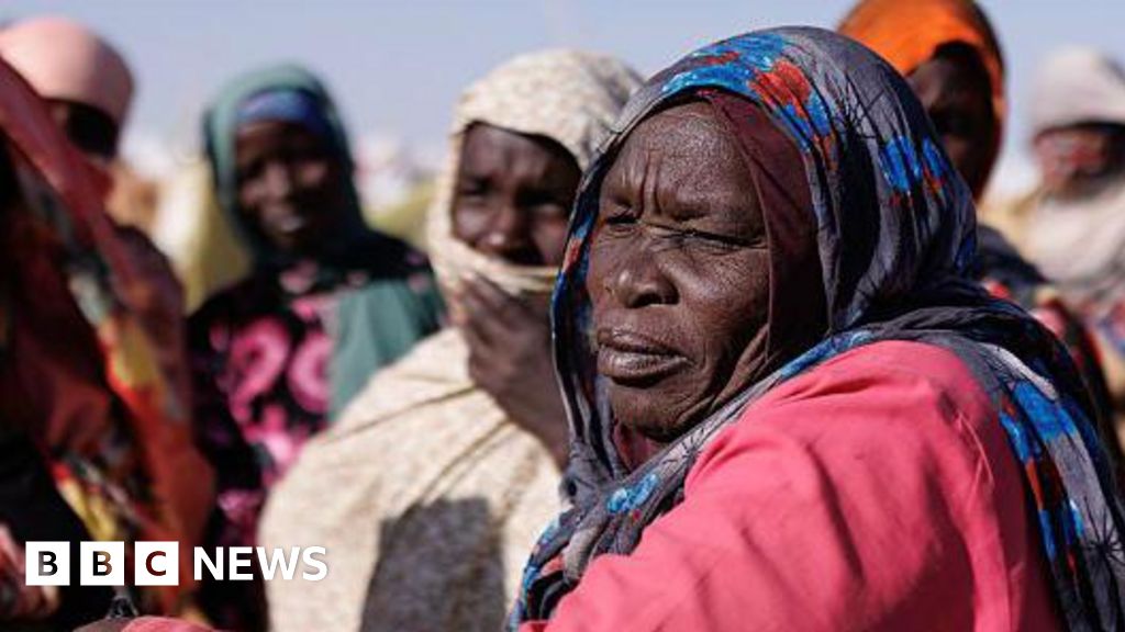 Chad shuts border with Sudan in bid to stop conflict spreading