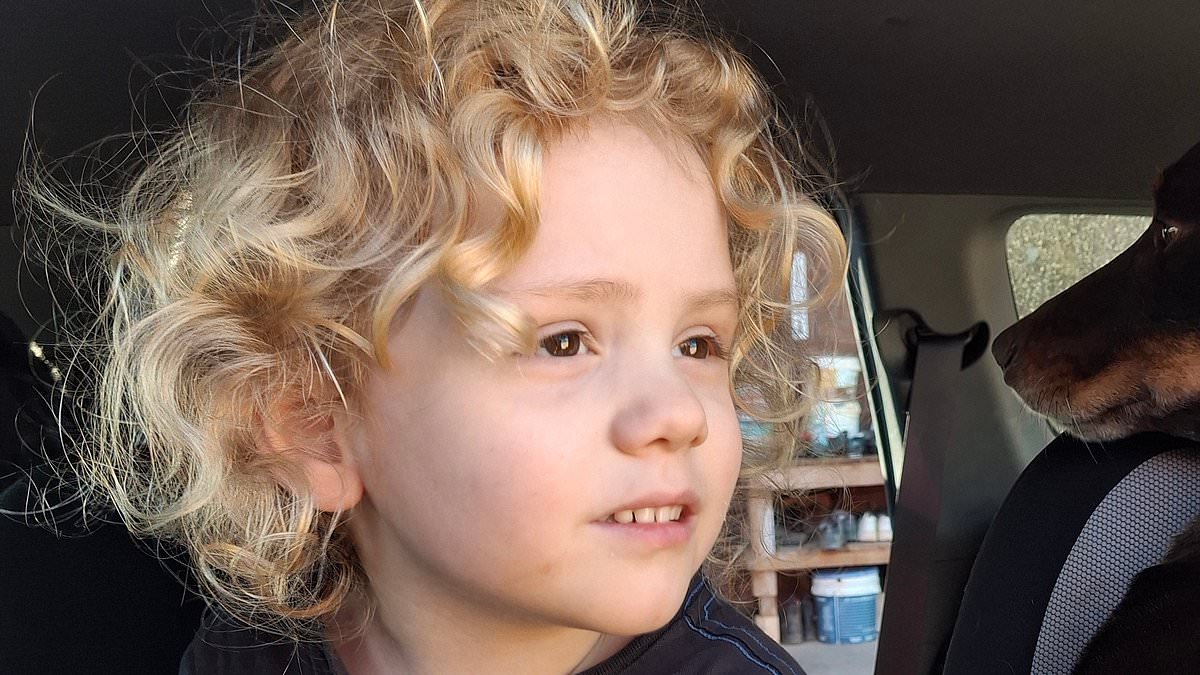 Heartbroken parents of missing Gus Lamont finally break their silence to beg for help - as new photos emerge of the adorable four-year-old