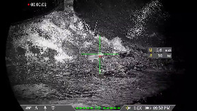 Mestieri quasi scomparsi: a caccia di topi in UK (video)