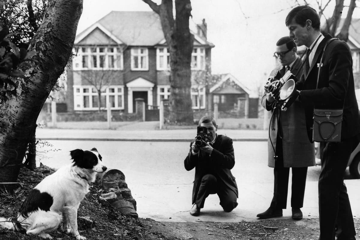 Send for Pickles Jnr! Mystery over shocking theft of Paralympic curling stones