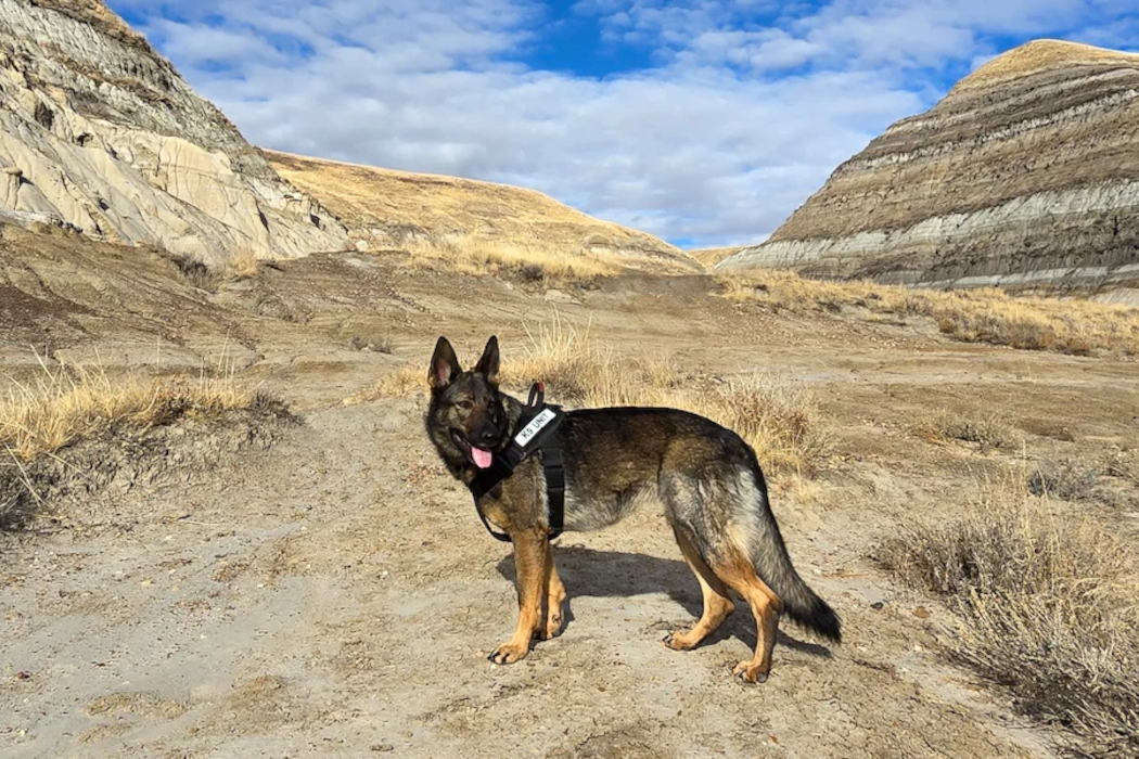 Blackline Safety pairs connected gas detection with K9 leak hunting