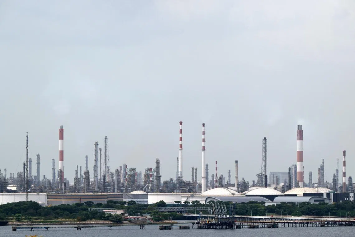 Study finds Jurong Island power plant may not impact corals, but experts raise questions on methods