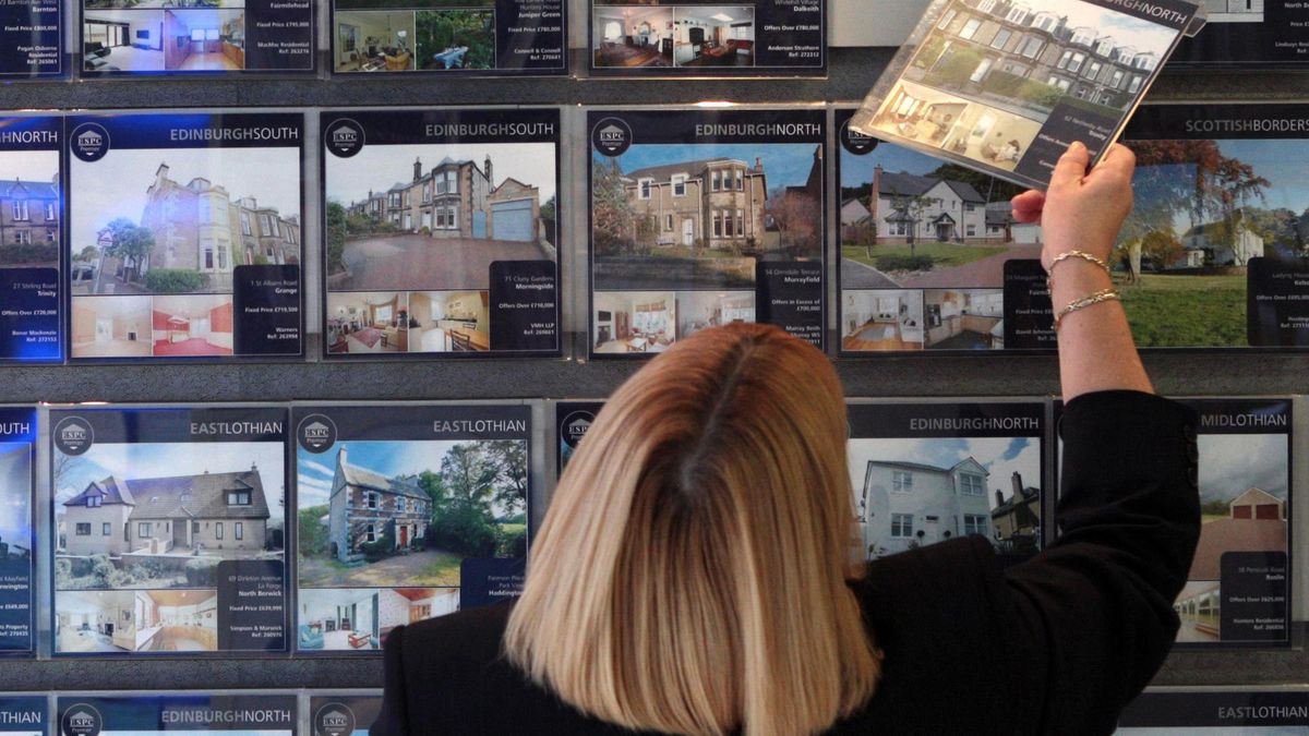 North East property group LSL hails strong trading as sales and profits rise