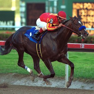 ‘A runner from the start’ – Jay Hovdey on Captain Steve