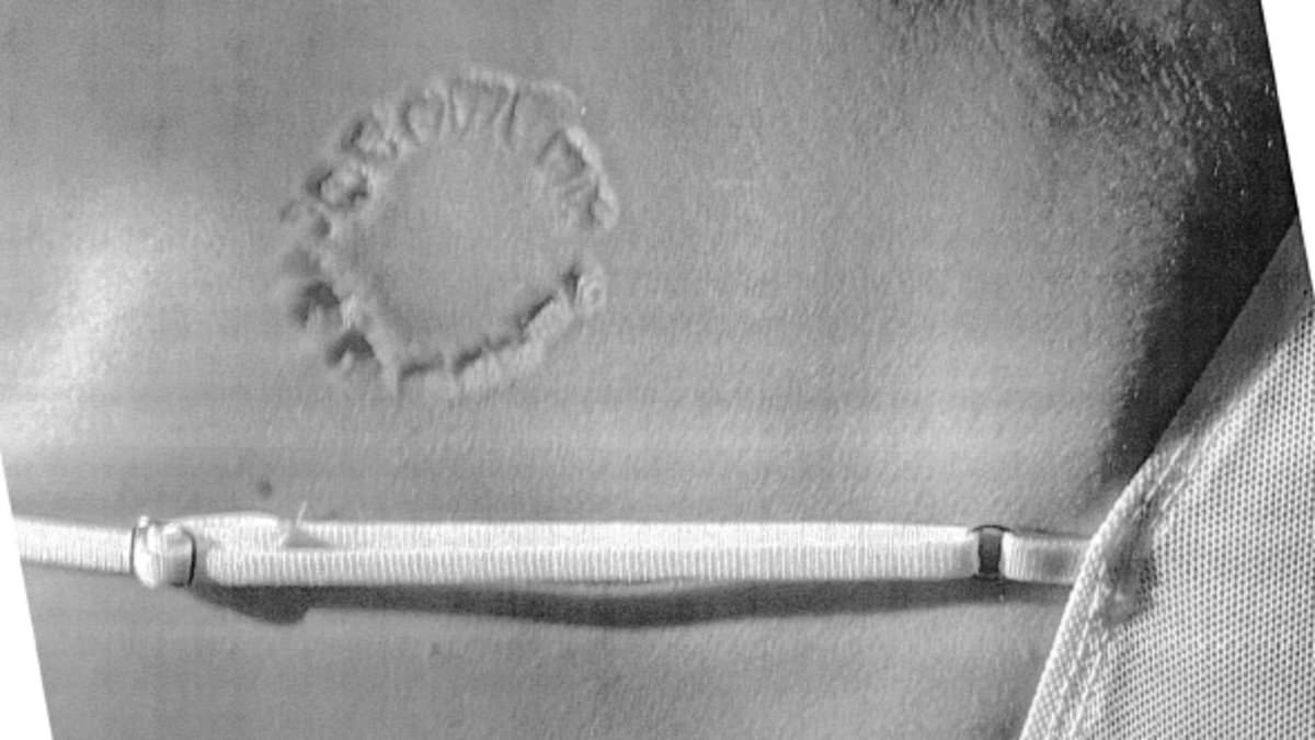 Puka Nacua bite lawsuit takes fresh twist as accuser mysteriously withdraws restraining order petition against NFL star