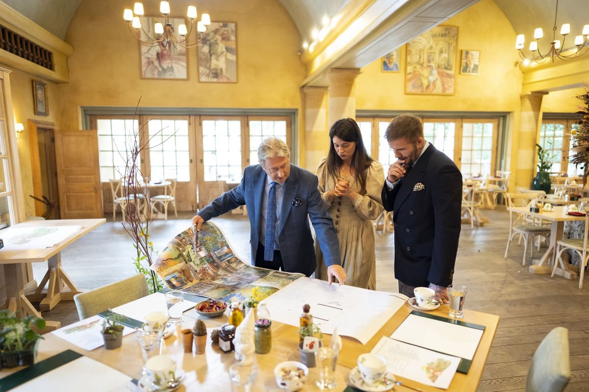 Why King Charles and co's 'Curious Garden' could be a life-saver