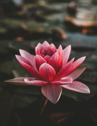 Mary Claudette Korbel Obituary