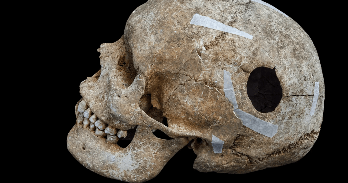 This morbid Viking Age death pit is more mystifying than it first seemed – here’s why