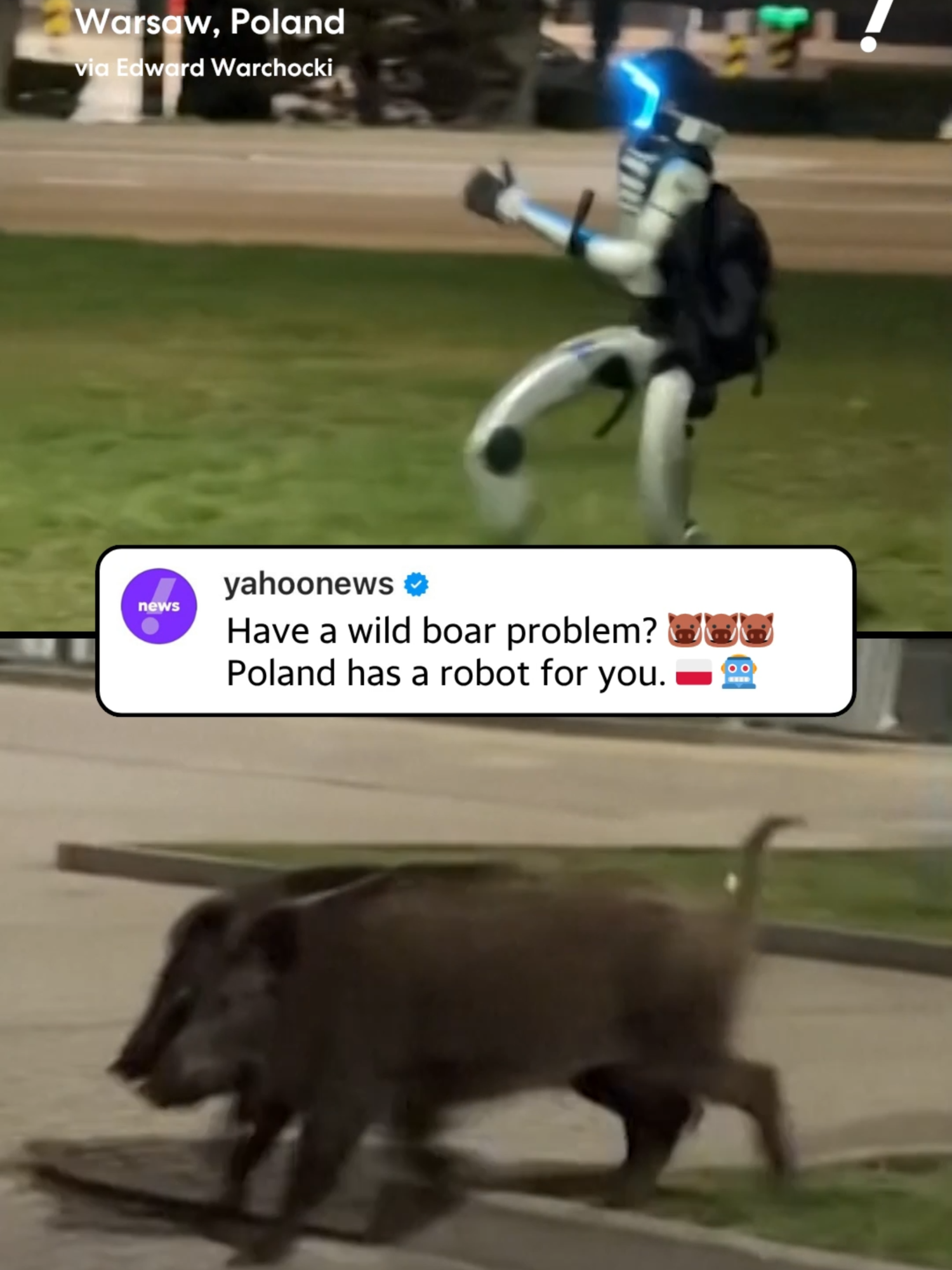 A Unitree G1 humanoid robot, known as "Edward W​archocki" to his friends, has been put to work chasing away wild boars that have wandered into the streets of Warsaw, Poland. Man, the future is weird.
