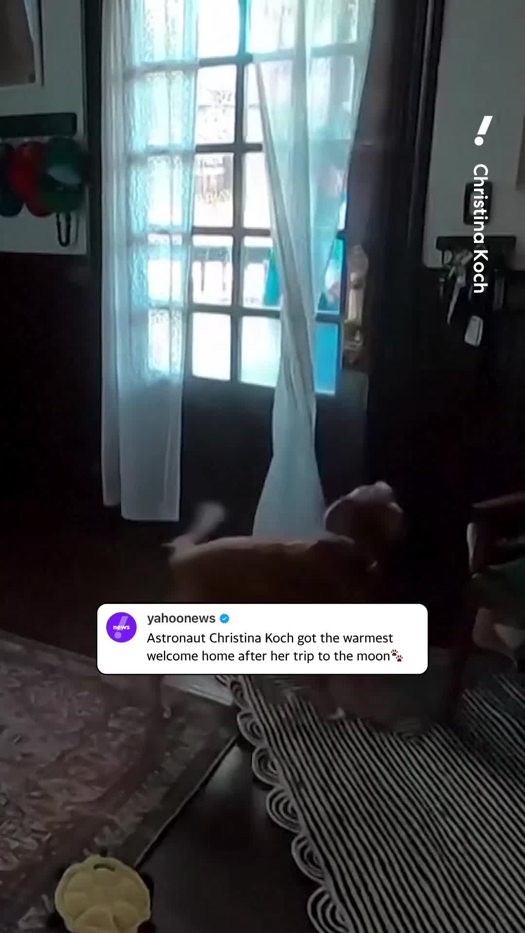 After returning from the historic Artemis II mission, astronaut Christina Koch shared a sweet moment on Instagram as she reunited with her pup. 🥹