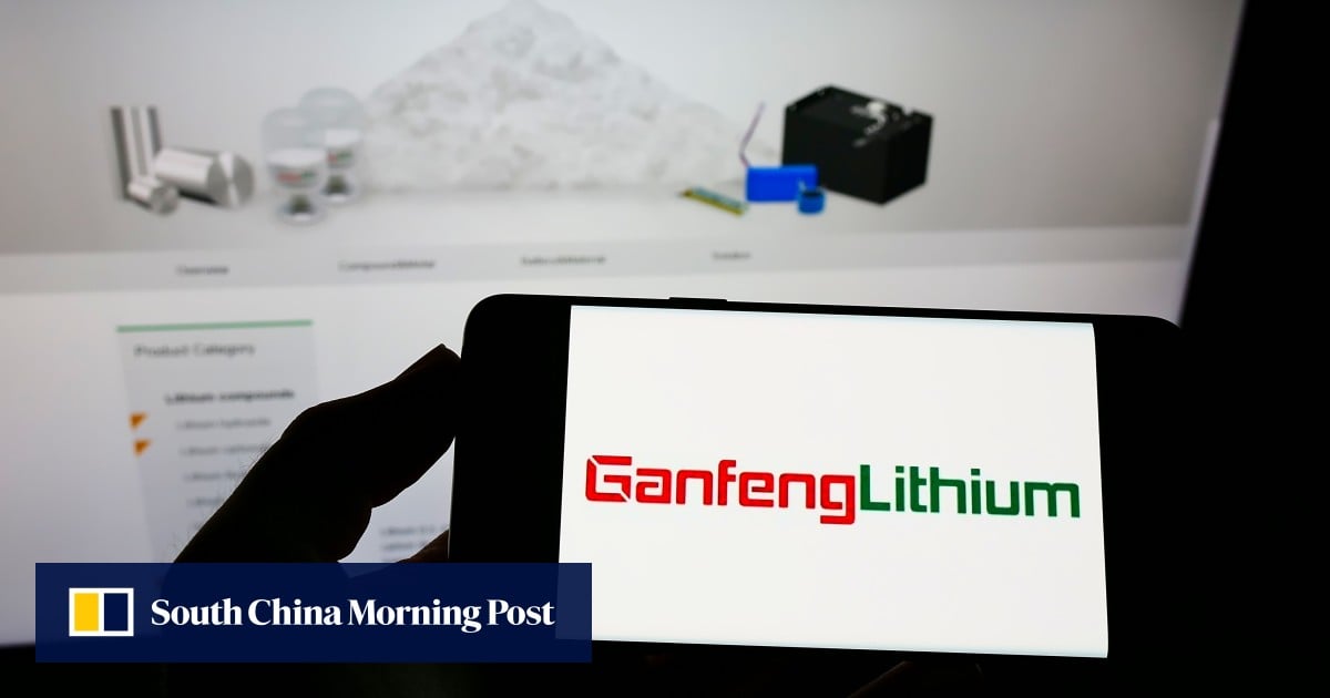 China’s lithium giant Ganfeng sees profit jump as demand for EVs and ESS batteries soars