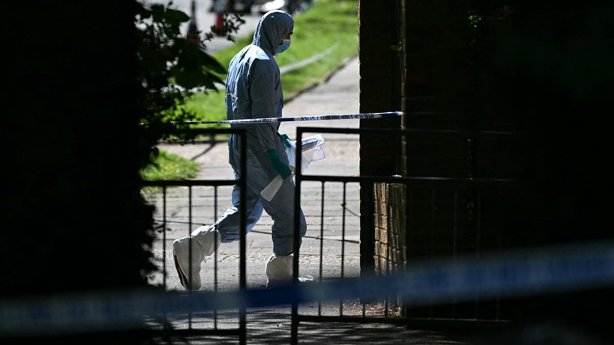 Counter-terror police probing whether Iranian proxies are involved in 'firebombing' of London synagogues after latest 'anti-semitic attack'