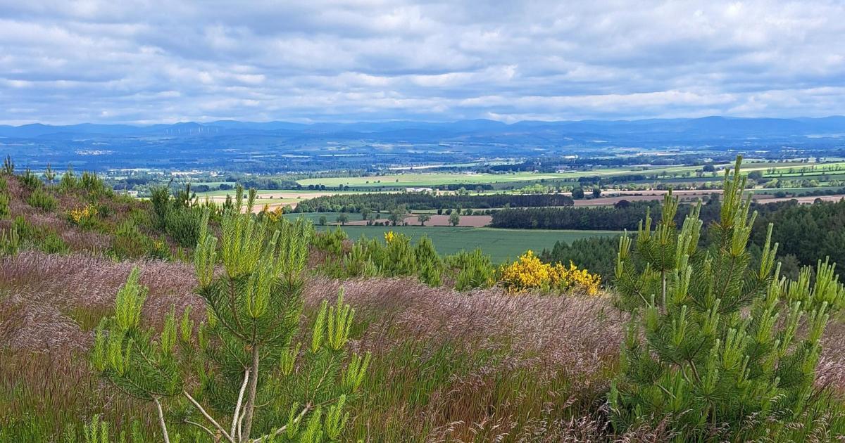 Plans for AI growth zone on green belt land sparks local concern
