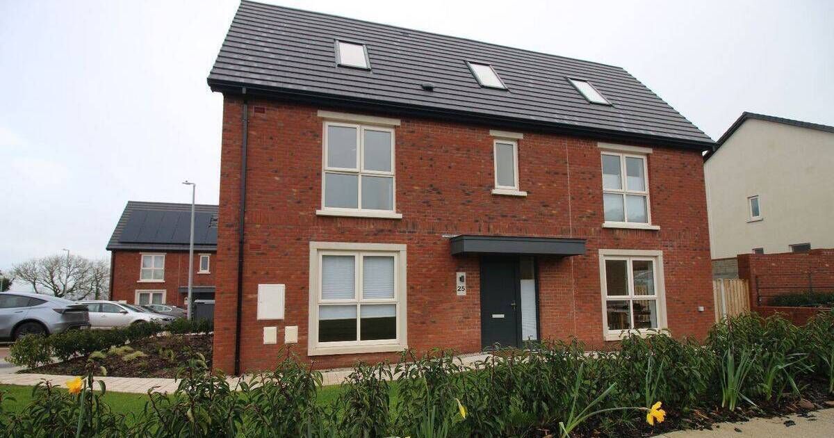 Cue another chance to buy in Bayly