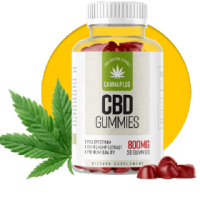 Canna Plus CBD Gummies