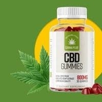 CannaPlus Gummies
